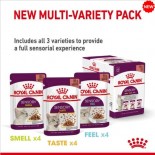 Royal Canin SENSORY™ 貓感系列 - 口感混合裝營養營養主食濕糧（肉汁） *Sensory Feel Adult Cat (Gravy) * 85gX3款各4包（肉汁） (紫袋藍字) [343200&91;