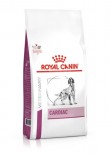 Royal Canin - Cardiac 獸醫配方 心臟 乾狗糧-2kg [3136900]