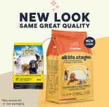 Canidae 雞肉糙米配方狗糧 40 lbs [1144A]
