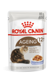 Royal Canin 健康營養系列 - +老年貓12營養主食濕糧（啫喱） *Ageing 12+ Cat (Jelly)* 85g [2376100]