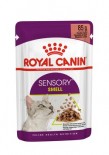 Royal Canin SENSORY™ 貓感系列 - 肉香營養主食濕糧（肉汁） *Sensory Smell Adult Cat (Gravy)* 85g (紫袋綠字)  [3033600]