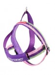 EZYDOG - Quick Fit Dog Harness 快套式胸背帶 - Bubblegum泡泡糖色 L 碼