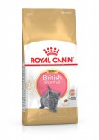 Royal Canin 純種系列 - 英國短毛幼貓專屬配方 *British Shorthair Kitten* 貓乾糧 02kg [2519900&91;