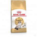 Royal Canin 純種系列 - 布偶成貓專屬配方 *Ragdoll* 貓乾糧 02kg [2515020010&91;