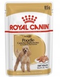 Royal Canin 純種系列 - 貴婦狗成犬專屬主食濕糧（肉塊）*Poodle Adult Dog (Loaf)* 85g x 12包原裝同款優惠 [3170200]