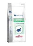 Royal Canin - Starter (Small Dog)獸醫配方乾狗糧-1.5kg [3719015010]