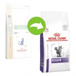 Royal Canin - Dental(DSO29)獸醫配方 口腔乾貓糧-1.5kg [3094400] *紫標袋*