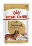 Royal Canin 純種系列 - 臘腸狗成犬專屬主食濕糧（肉塊）*Dachshund Adult Dog (Loaf)* 85g x 12包原裝同款優惠 [2672500]