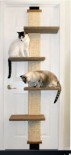 Pioneer Pet SmartCat Climber SC3826 掛門色貓爪柱及跳台