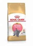 Royal Canin 純種系列 - 英國短毛幼貓專屬配方 *British Shorthair Kitten* 貓乾糧 10kg [2520100&91;