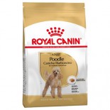 Royal Canin 純種系列 - 貴婦狗成犬專屬配方 *Poodle* 狗乾糧 03kg [3057030010&91;