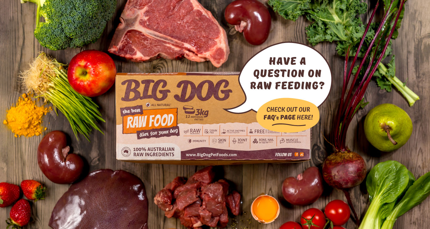 big-dog-pet-foods-website-slideshow-banners-faqs.jpg