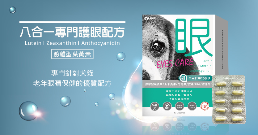 petpro-eyes.1.jpg