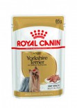 Royal Canin 純種系列 - 約瑟爹利成犬專屬主食濕糧（肉塊）*Yorkshire Terrier Adult Dog (Loaf)* 85g x 12包原裝同款優惠 [2669700]