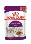 Royal Canin SENSORY™ 貓感系列 - 口感營養主食濕糧（肉汁） *Sensory Feel Adult Cat (Gravy) * 85g  (紫袋藍字)  [3034500]