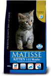 Matisse Kitten 全天然幼貓糧 10kg