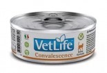 Farmina Vet Life Cat Convalescence 貓用高營養照護配方濕糧 85G x 12罐 (原箱出貨)